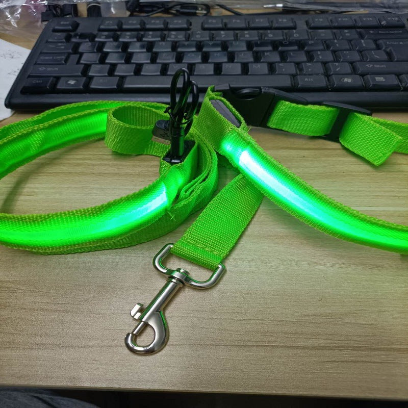 LED dog leash glowing at night