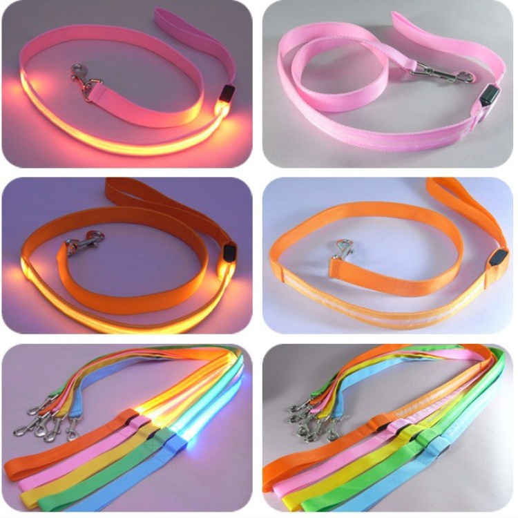USB rechargeable LED dog leash