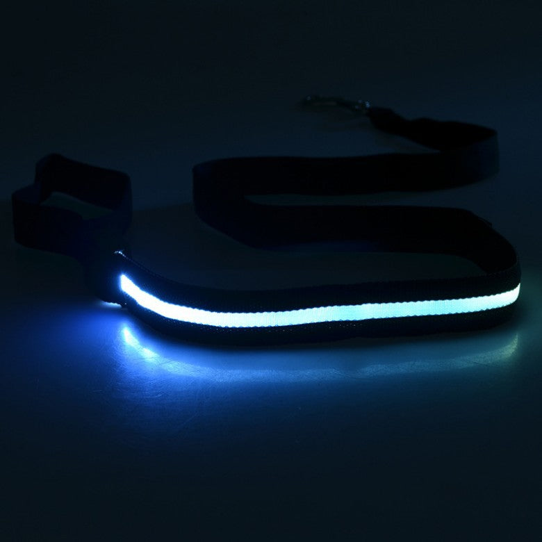 LED leash for night walks